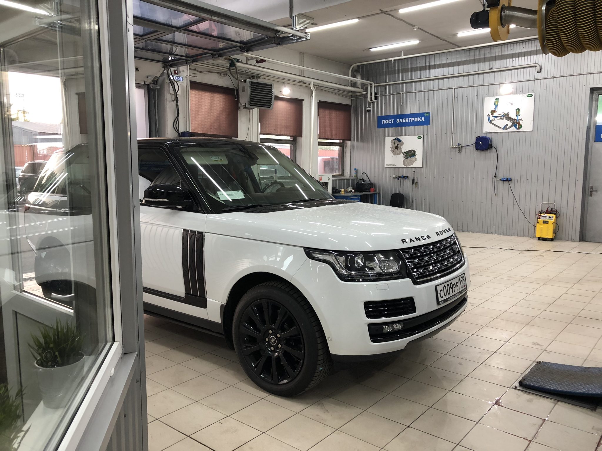 Белый Range Rover - фото онлайн на цветы-шары-ульяновск.рф