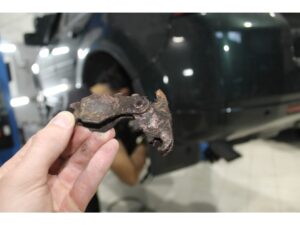 Лягушка - что это?