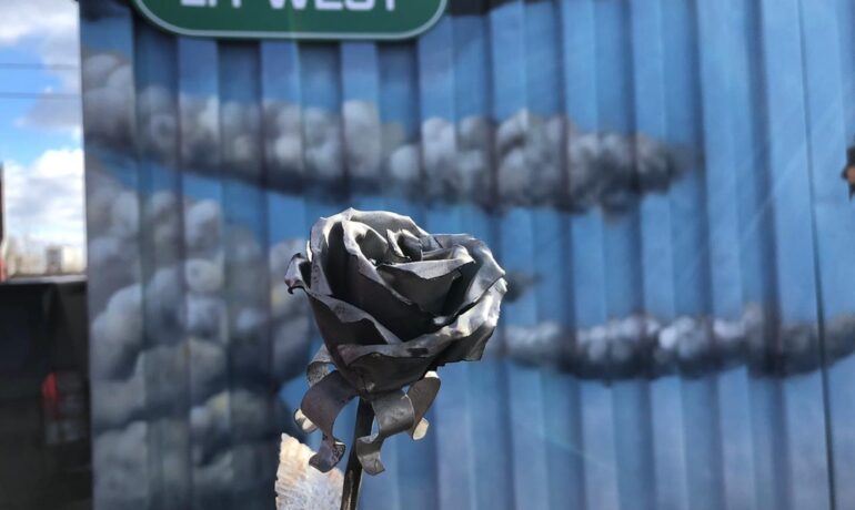 Железная роза на фоне LR-West