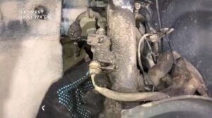 Ходовая и подвеска Freelander 2 | Передние тормоза